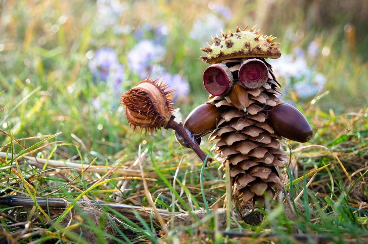 Лесной детектив | Источник: katarinag/Shutterstock/Fotodom.ru