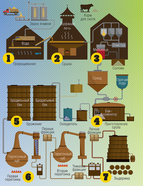 Национальное достояние: как и где делают настоящий шотландский виски