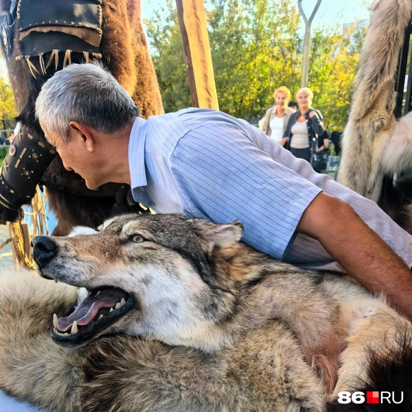 Источник: Анастасия Шевякова / 86.RU