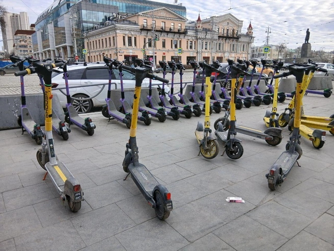 На Ставрополье треть проголосовавших выступила за оставление ситуации с самокатами такой, какая она есть | Источник: Роман Марьяненко / E1.RU