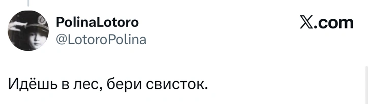Источник: X (Twitter)