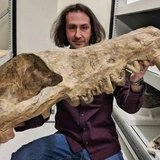 <p><a target="_blank" rel="noopener nofollow" href="https://www.fieldmuseum.org/about/staff/profile/ken-angielczyk">Кеннет Энджелчик</a></p>