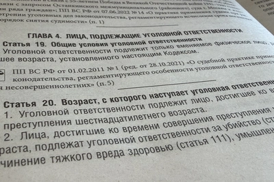 В Смоленске раскрыли серию автокраж