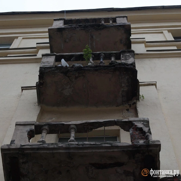 Источник: «Фонтанка.ру»