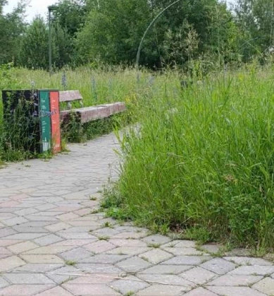 Источник: Uslugi.tatarstan.ru
