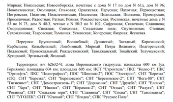 Источник: избирательная комиссия Воронежской области / voronezh.izbirkom.ru