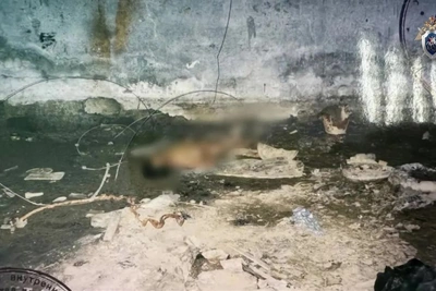 Раскрыто убийство 2001 года в Холмске