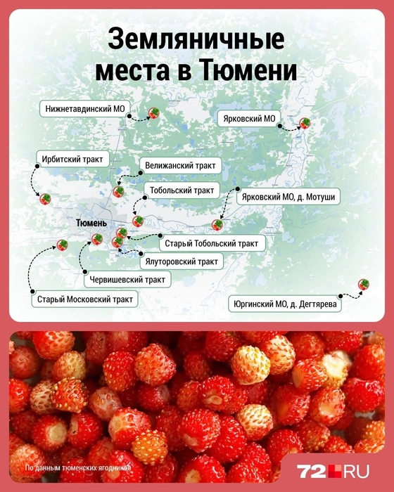 Источник: Дмитрий Гладышев / 72.RU 