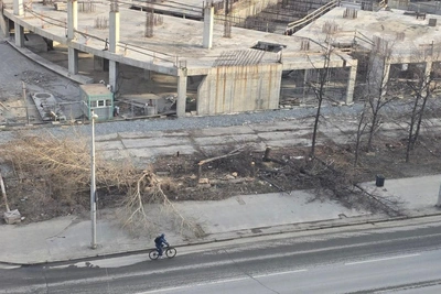 В Екатеринбурге деревья спилены и брошены на тротуар