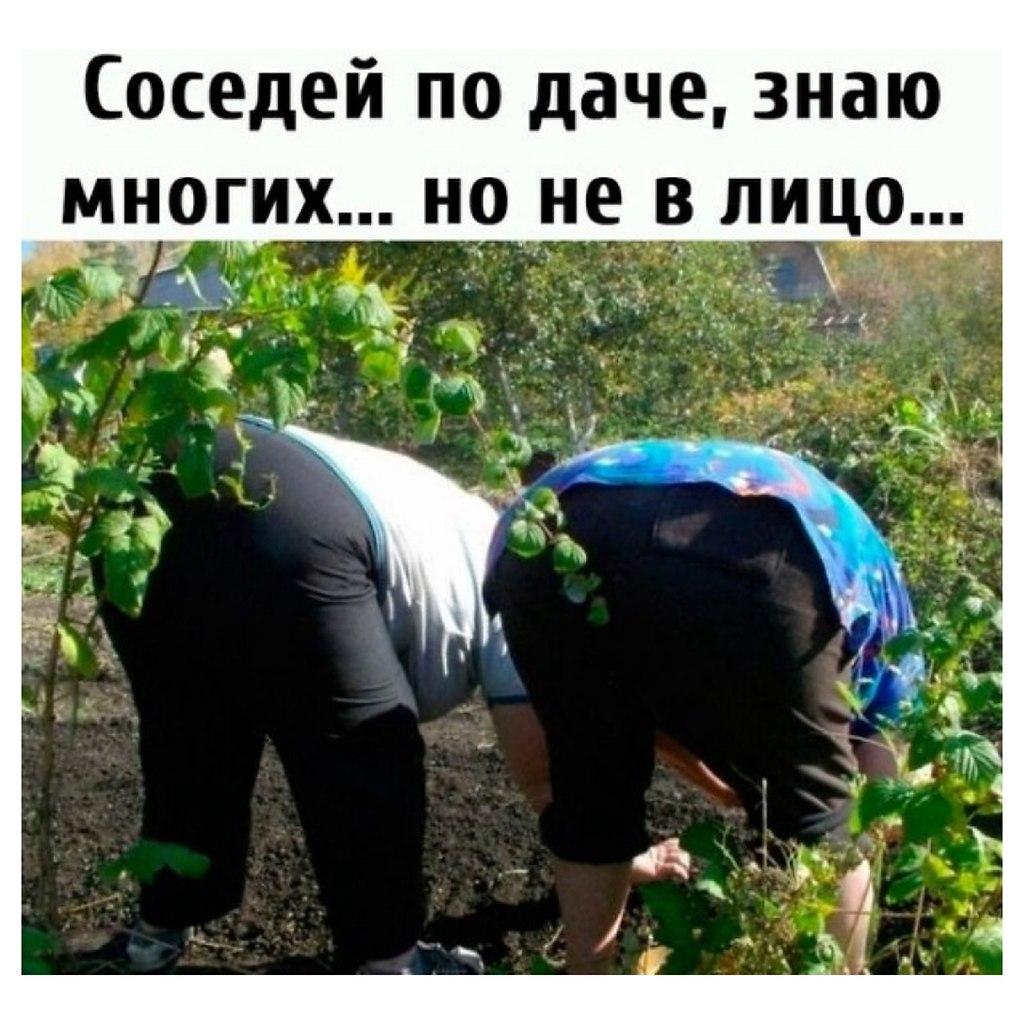 Время собирать урожай :-)) Здравствуйте, уважаемые, Приятного, времени, суток