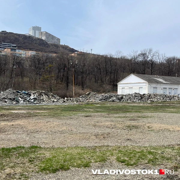 Источник: Елена Буйвол / VLADIVOSTOK1.RU