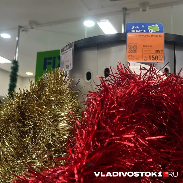 Источник: Елена Буйвол / VLADIVOSTOK1.RU