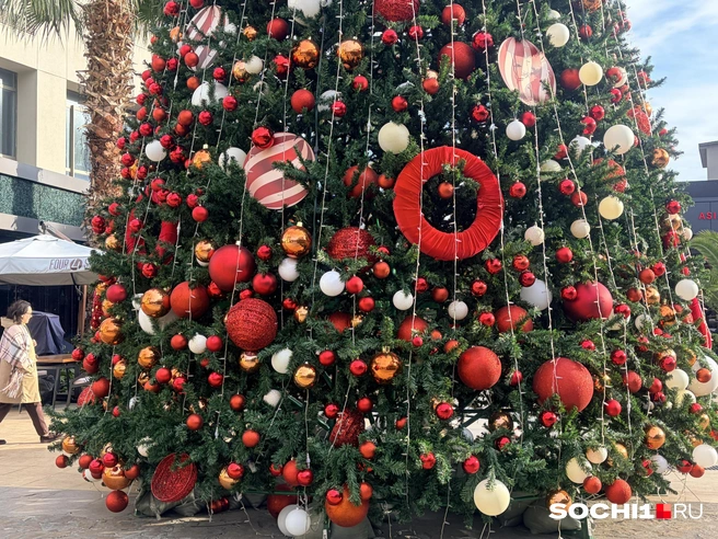 Елка в ТРЦ «Мандарин» | Источник: Анна Грицевич / SOCHI1.RU