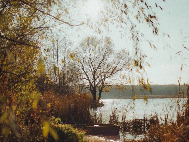 Источник: Александр Воднев