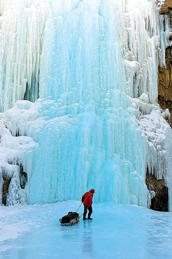 Baciu / Shutterstock.com