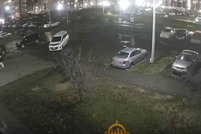 После нападения на девочку в Солнечном возбудили дело