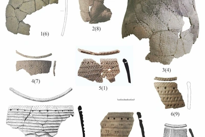 Учёные выяснили рацион древних сибиряков из посуды