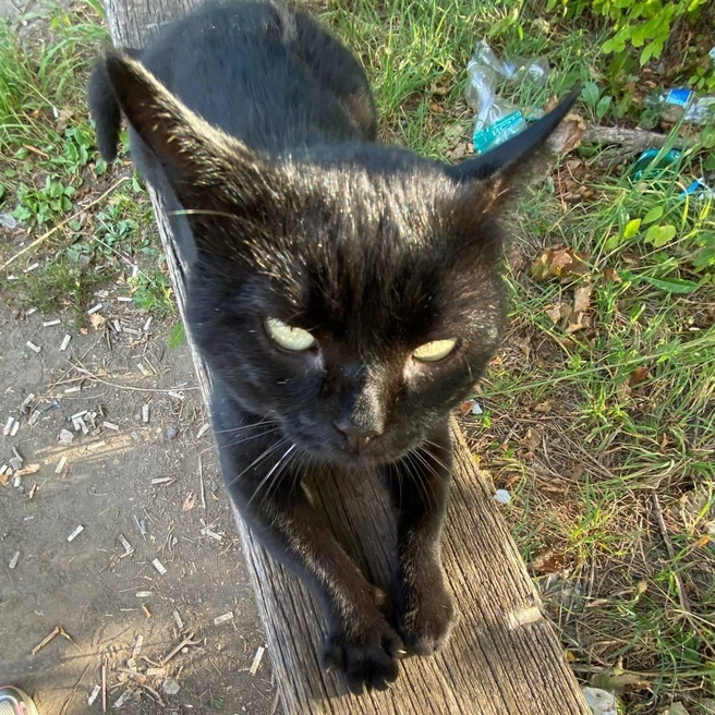 Рыбов дадите? | Источник: читатель 63.RU