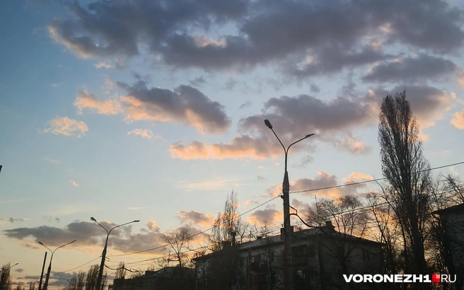 Опасность атаки БПЛА продолжает действовать | Источник: Алёна Воропаева / Voronezh1.ru