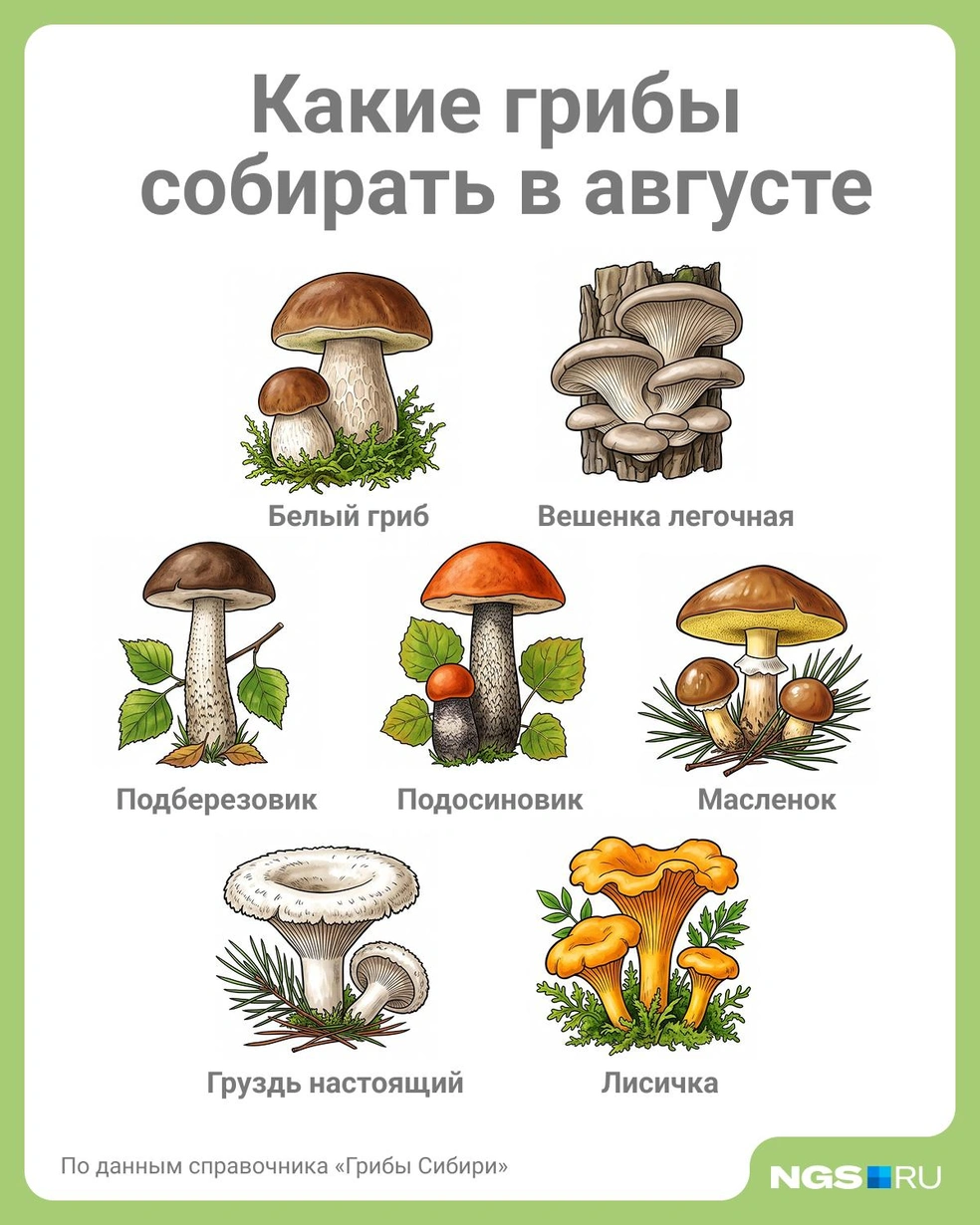 Источник: Юрий Орлов / Городские медиа