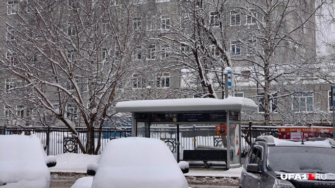 Одни роддома и больницы вокруг | Источник: Булат Салихов / UFA1.RU