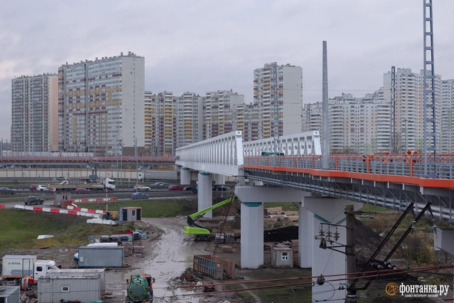 Источник: Сергей Николаев / «Фонтанка.ру»