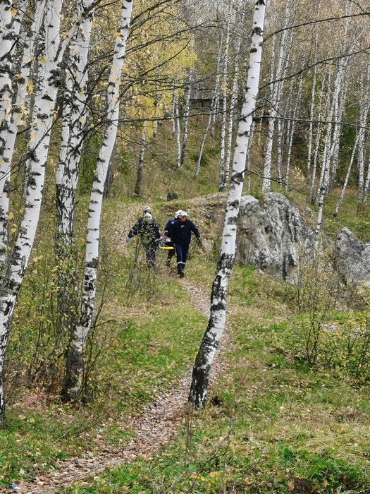 Ребенка транспортируют до кареты скорой помощи | Источник: Поисково — спасательная служба КМО(16+) / vk