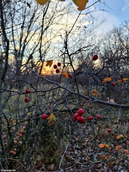 Источник: Читатель V1.RU Александр