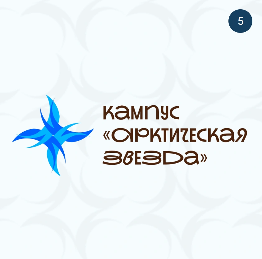 Источник: Mynorth29.ru