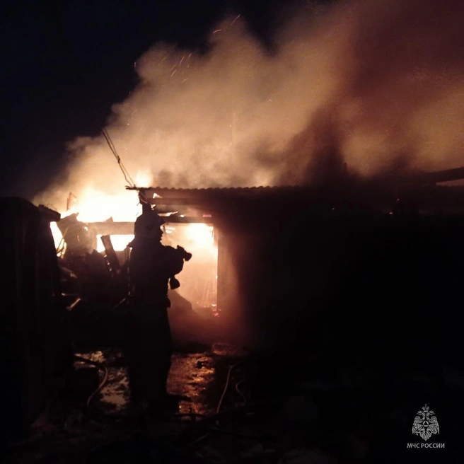 Пожары вспыхнули в надворных постройках | Источник: пресс-служба МЧС по Алтайскому краю