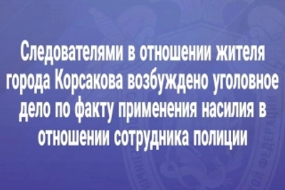 Житель Корсакова обвиняется в нападении на полицейского