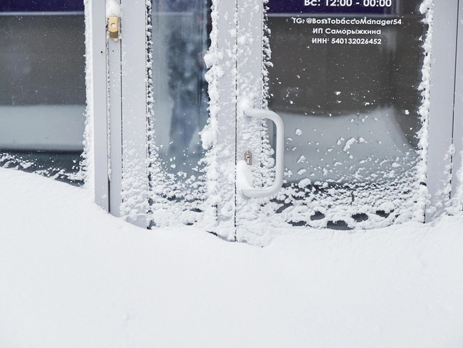 В ближайшее время Новосибирск ожидают интенсивные снегопады | Источник: Александр Ощепков / NGS.RU