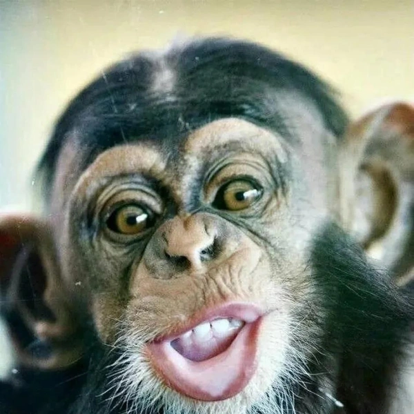 Источник: Соцсети