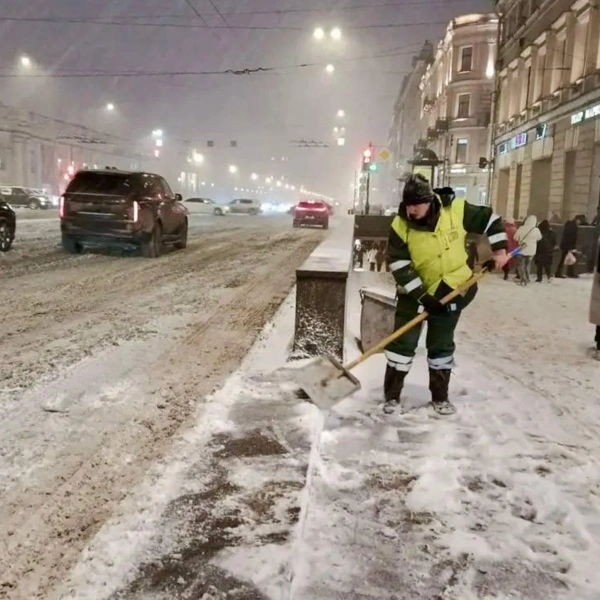 Источник: Комитет по благоустройству