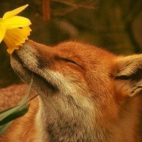 Аватарка Инга