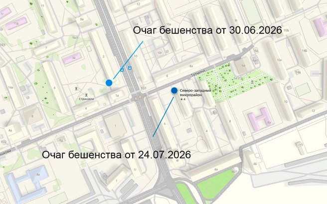 Координаты очагов 56.032229, 92.773832 и 56.032180, 92.776110 | Источник: 2gis.ru