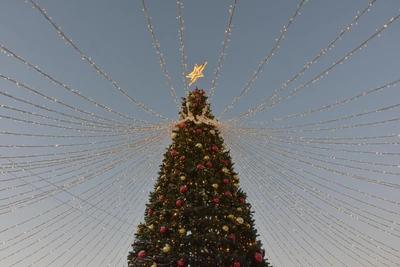 Новогодние гулянья в Ярославле на четырех площадках