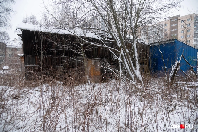 Источник: Иван Митюшёв / 29.RU