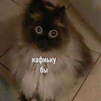Аватарка Veter_T