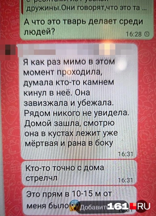 Ростовчанка боится, что неизвестный начнет мстить соседям, которые видели стрельбу | Источник: читатель 161.RU