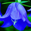 userpic__акс