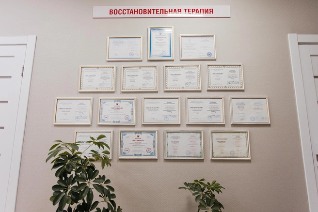 Источник: Ксения Зимина