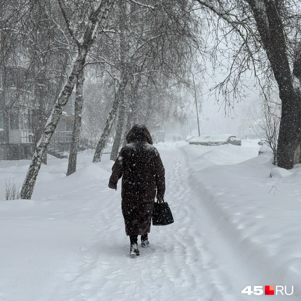 Источник: Юлия Король / 45.RU