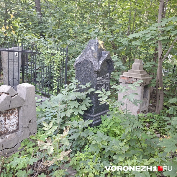 Источник: Алёна Воропаева / Voronezh1.ru