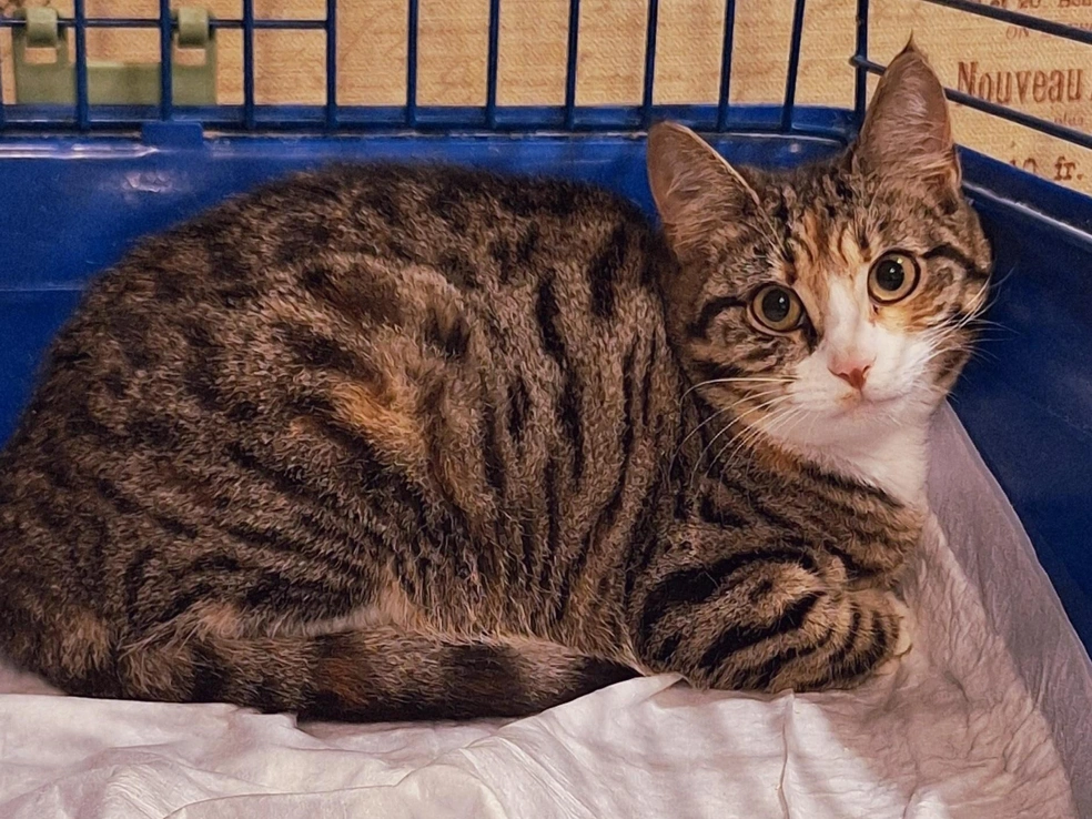 Источник: Анастасия Кондакова