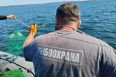 Более 100 браконьерских орудий изъято в лагуне Буссе
