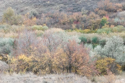 Осенний Александровский грабен поразил красками