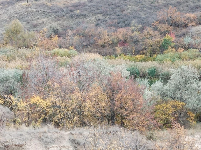 На одном фото — вся палитра природы | Источник: читатели V1.RU