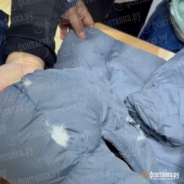 Источник: читательница «Фонтанки» Наталья