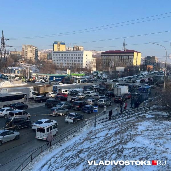 Источник: Елена Буйвол / VLADIVOSTOK1.RU
